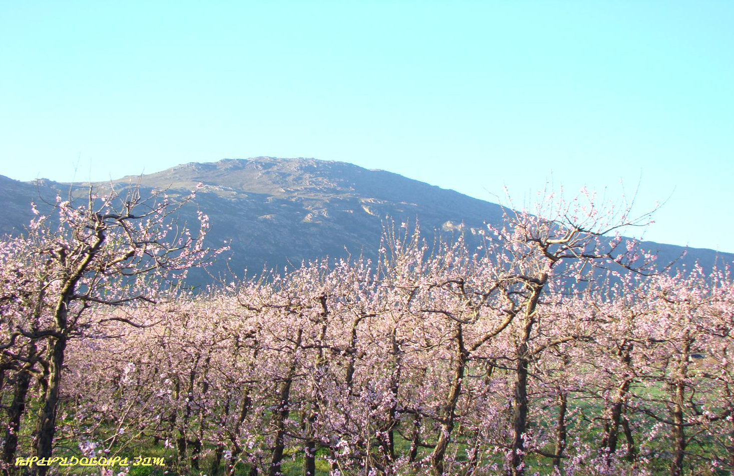 Villiersdorp-Elandskloof-Valley