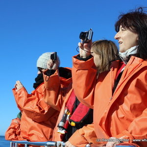 Dyer Island Cruises Clients