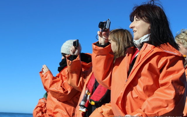 Dyer Island Cruises Clients