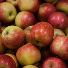 Grabouw / Elgin Apples