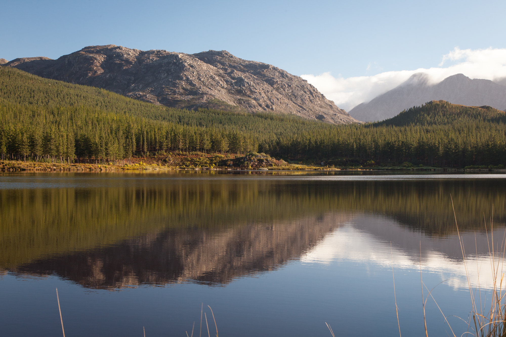 Grabouw-Elgin-Dam-05