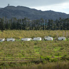 Cottages in the Hills