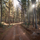 Follow the Road Follow the Road