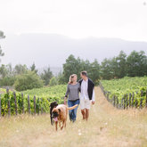 Walks in the Vineyards