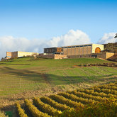 Almenkerk Wine Farm