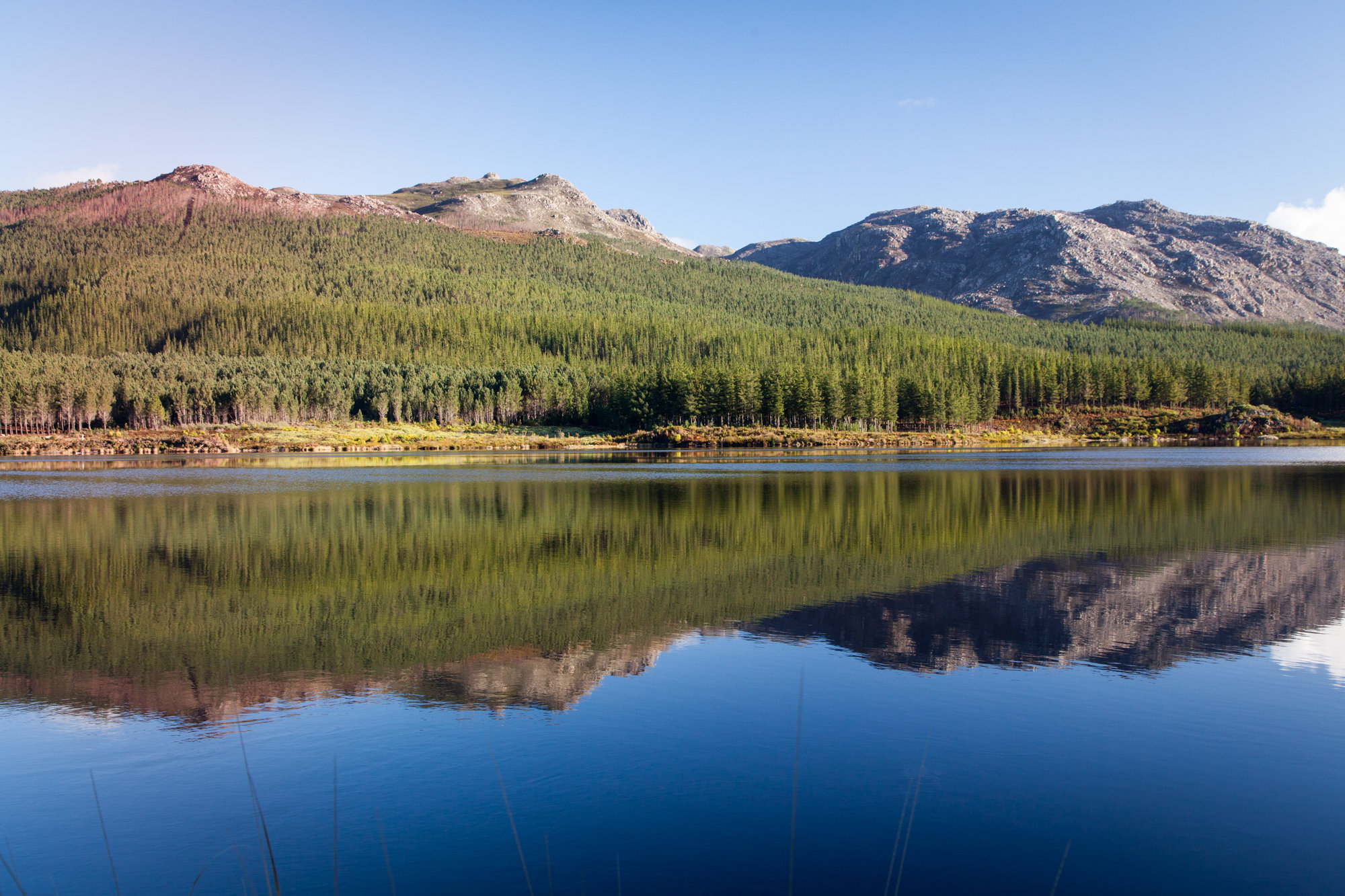 Grabouw-Elgin-Dam-04