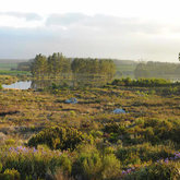 Panoramic view of Iona Wines