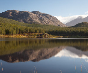 Hottentots Holland Nature Reserve