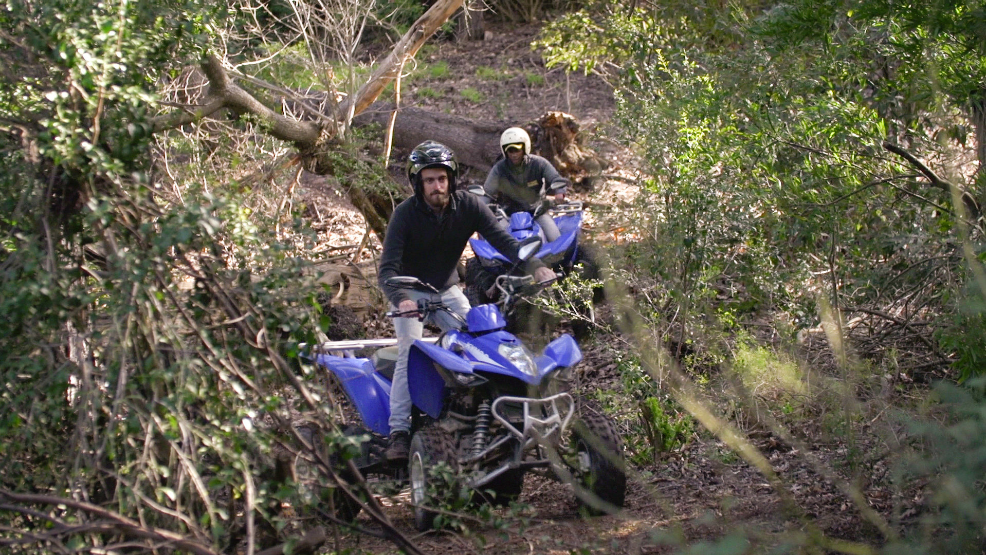 caledon-forest-adventures-04