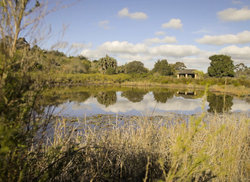 7. Take a Stroll Through Caledon's Wildflower Garden