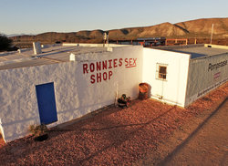 3. Ronnie's Sex Shop