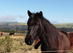 7. Swellendam is Family Friendly 