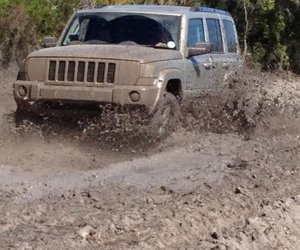 4x4 Flower Power Challenge