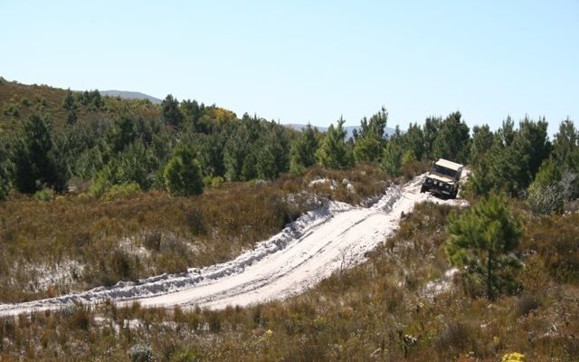 Funky Fynbos Flower Power 4x4 Trail Funky Fynbos Flower Power 4x4 Trail
