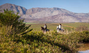 Top 5 Outdoor Adventures in Botrivier