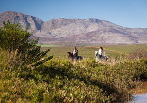 Top 5 Outdoor Adventures in Botrivier