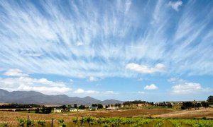 Beaumont Wine Estate (Compagnes Drift)