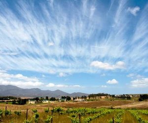 Beaumont Wine Estate (Compagnes Drift)