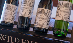 Botrivier to Hermanus - Wine Routes to Whale Watching