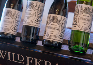 Botrivier to Hermanus - Wine Routes to Whale Watching