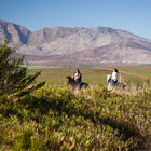 Horse Riding in Botrivier