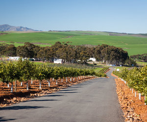 The 3 Best Attractions Outside of Caledon