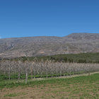 Views & Landscapes of Barrydale