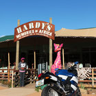 Hardy's Memories of Africa