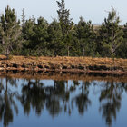 Explore the Outdoors of Swellendam