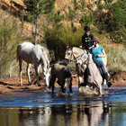 Horse Riding in Swellendam
