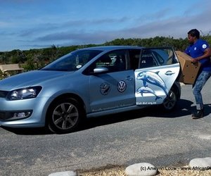 APSS's First Penguin Release