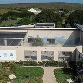 African Penguin & Seabird Sanctuary - Xplorioâ„¢ Gansbaai 