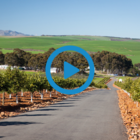 Botrivier - A Gateway to Adventure