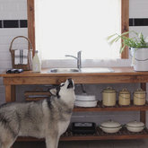 Kitchen - Sixpence Pet-Friendly Self-Catering Accommodation