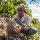 The Future Trees project of the Grootbos Foundation