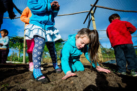 Flower Valleyâ€™s centre open for 2016 