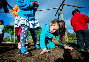 Flower Valleyâ€™s centre open for 2016 