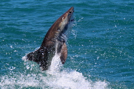 20151119_SF_Trip1_MBarron_IMG_00274