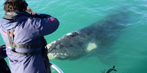 Get up close and personal