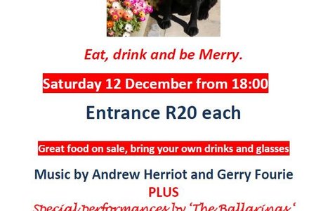 SAWS Music on the Lawn (12 December 2015)