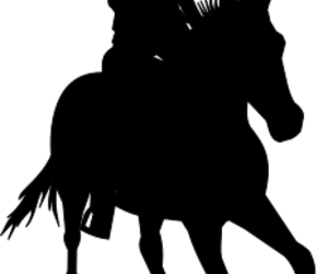 Thank you Hippomania!