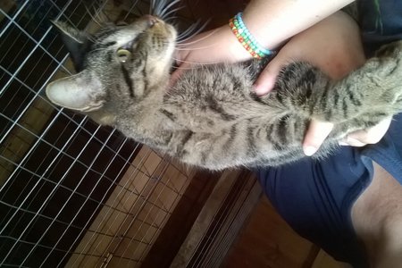 Dexter getting some love from field worker Lezelle Els