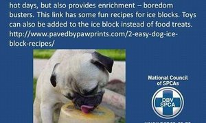 Keep you animals cool during heat waves! 