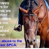 Report Horse Abuse