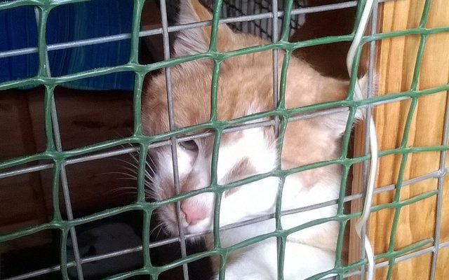 Seeking some attention through my pen. 