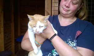 Doughnut wants a home...