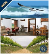 WIN A Stay at Africa's Southernmost Vineyard
