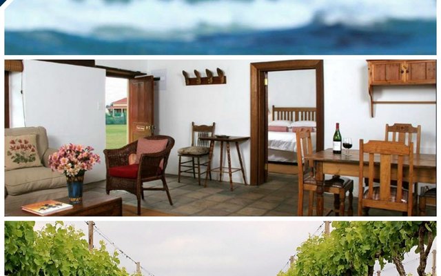 Strandveld-competition_1