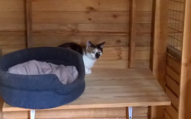 WP_20151220_09_34_14_Pro