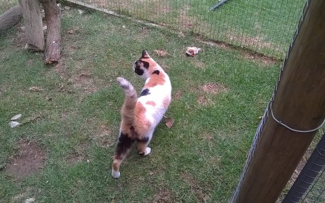 WP_20151220_09_49_03_Pro